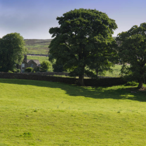 A hill farm in the Yorkshire Dales