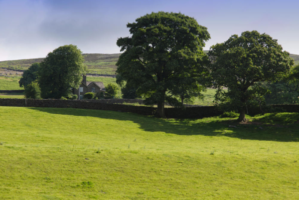 A hill farm in the Yorkshire Dales