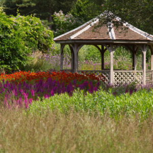 A garden pavilion in a beautiful English summer garden