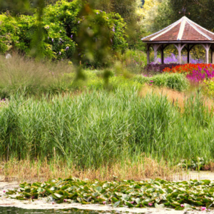 A pavilion in an English country garden in high summer