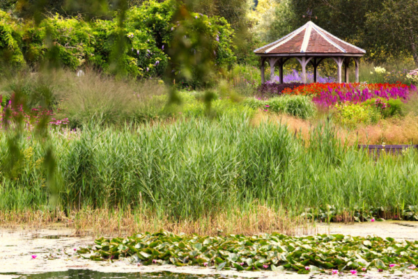 A pavilion in an English country garden in high summer