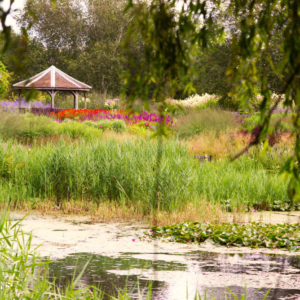 A pavilion in an English country garden in high summer