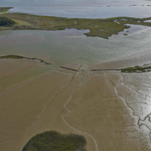 An aerial view of extensive coastal mudflats on the Suffolk Heritage Coast