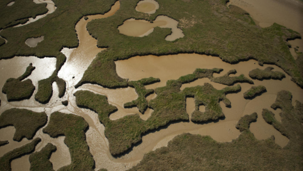 Snape Maltings, suffolk, heritage coast, river Alde, river deben, estuary, mudflats, marshes, landscape, countryside, drone images, drone photography, sky, horizon, Orford