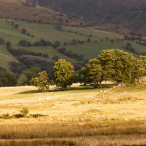 A view across the Brecon Beacons in South Wales