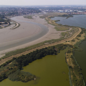 An aerial view of the Blackwater Estuary and the coastal Essex marshes